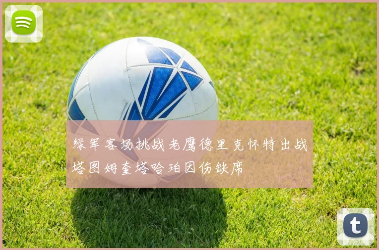 绿军客场挑战老鹰德里克怀特出战塔图姆奎塔哈珀因伤缺席