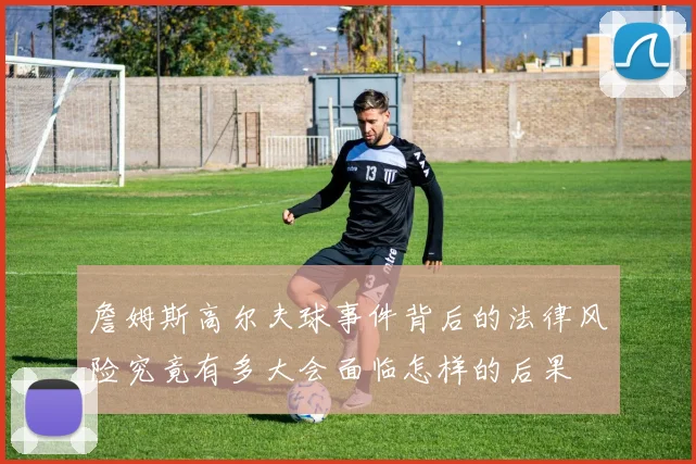 詹姆斯高尔夫球事件背后的法律风险究竟有多大会面临怎样的后果