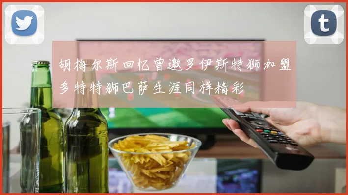 胡梅尔斯回忆曾邀罗伊斯特狮加盟多特特狮巴萨生涯同样精彩